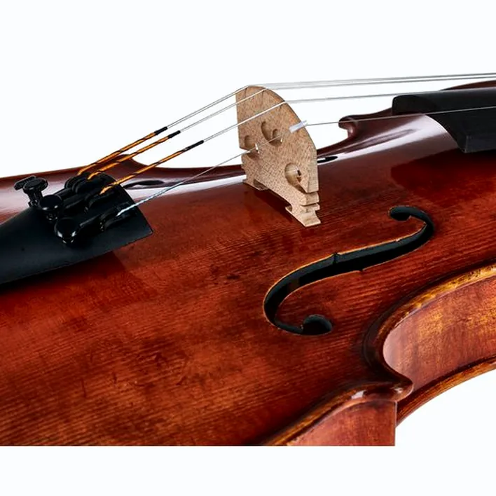 Gewa Maestro 71 Guarneri Violin
