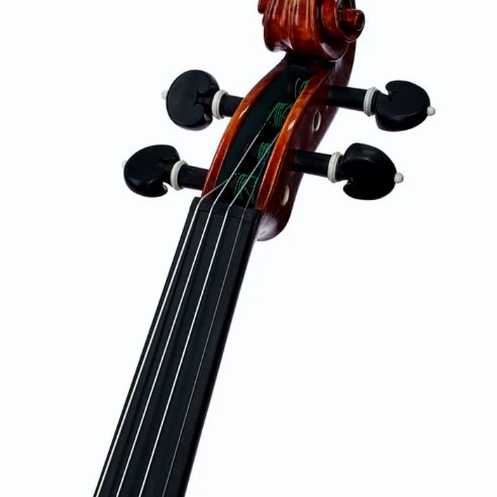 Gewa Maestro 71 Guarneri Violin