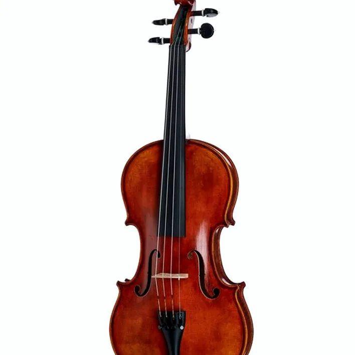 Gewa Maestro 71 Stradivari Violin
