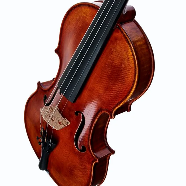 Gewa Maestro 71 Stradivari Violin