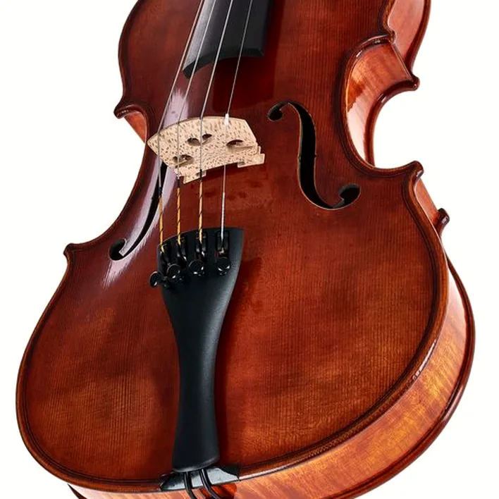 Gewa Maestro 71 Stradivari Violin