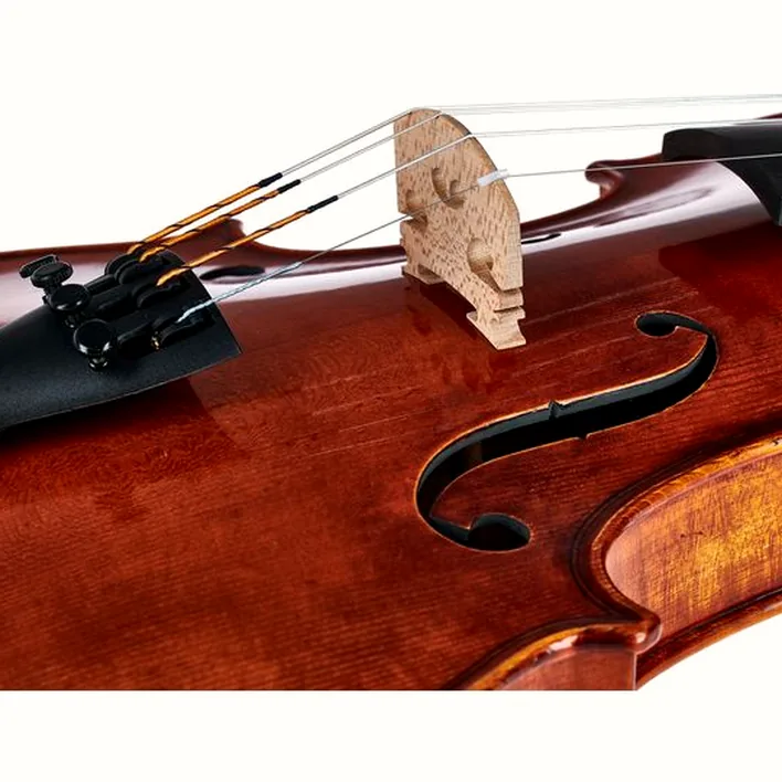 Gewa Maestro 71 Stradivari Violin