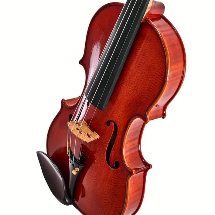 Hidersine Edwin Whitmarsh Violin Set 4 4