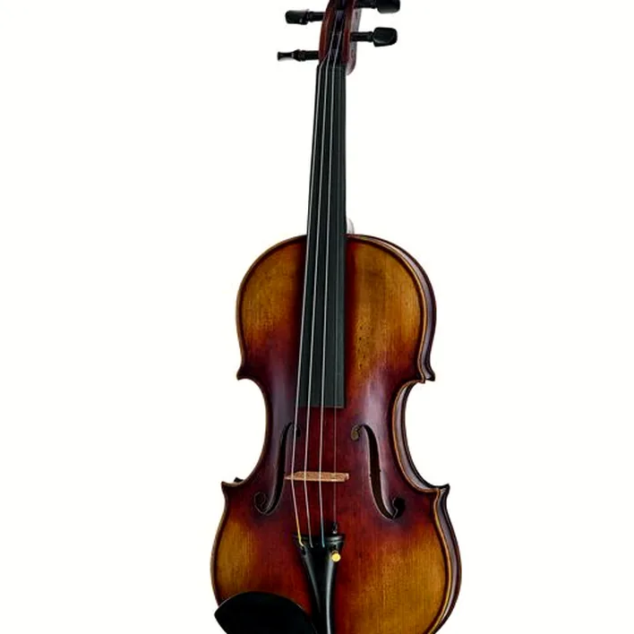 Hidersine Espressione Violin Set Guarn