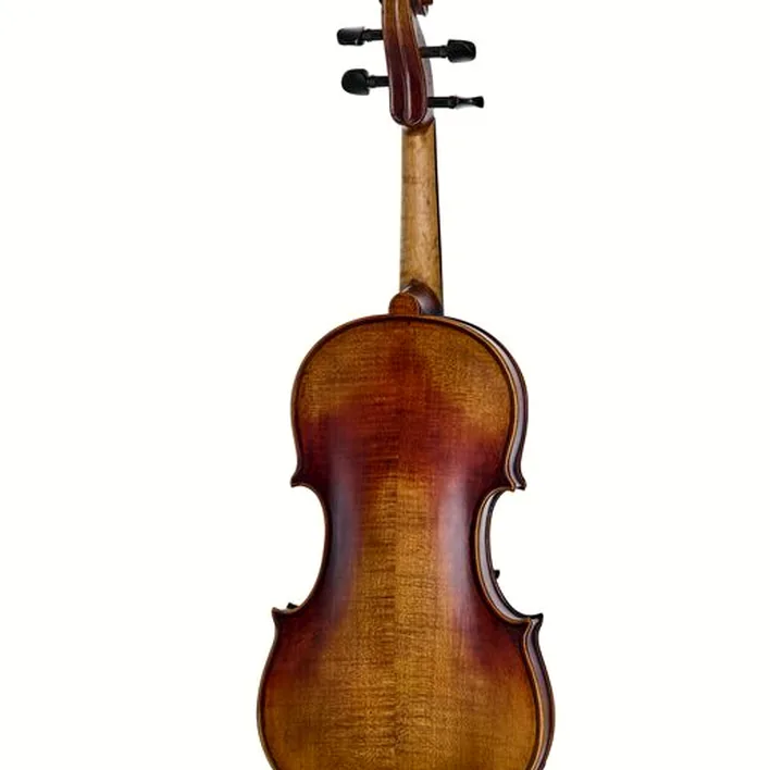Hidersine Espressione Violin Set Guarn