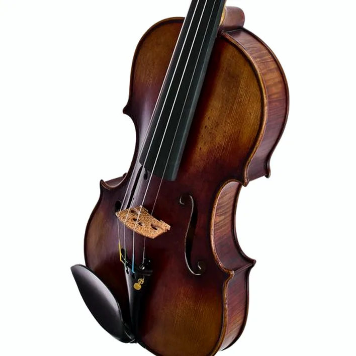 Hidersine Espressione Violin Set Guarn