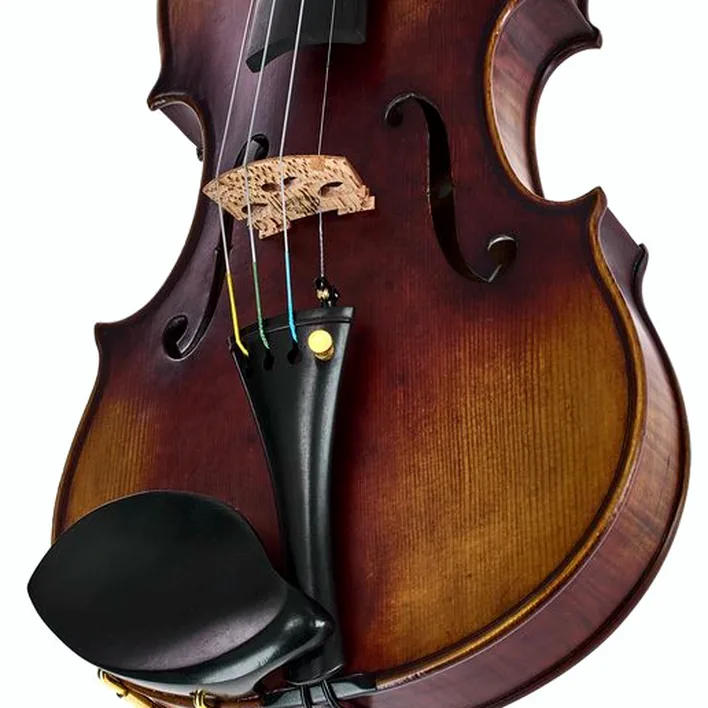 Hidersine Espressione Violin Set Guarn