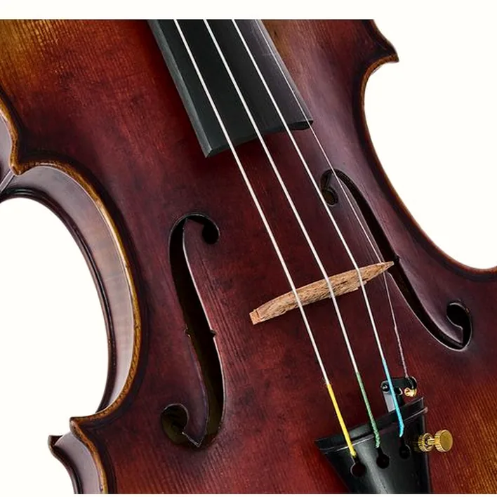 Hidersine Espressione Violin Set Guarn