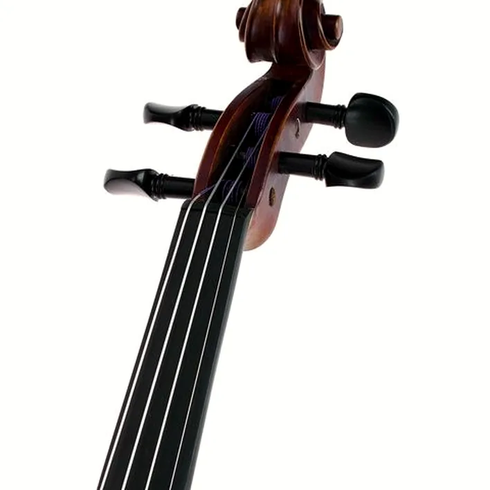 Hidersine Espressione Violin Set Guarn