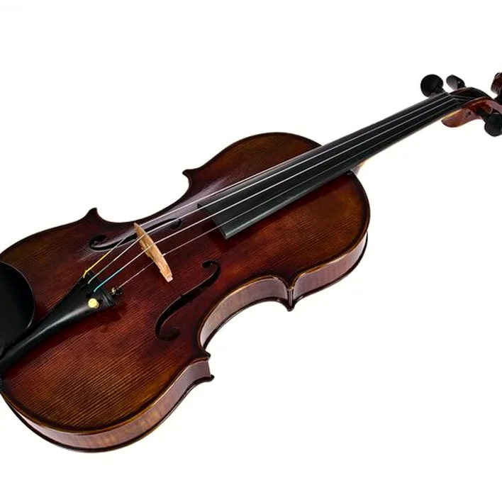 Hidersine Melodioso Violin Set Guarneri