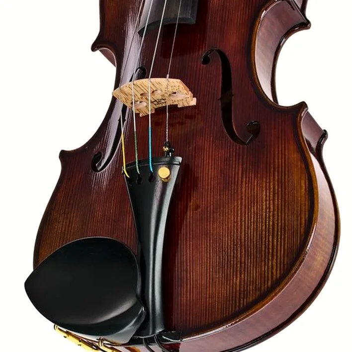 Hidersine Melodioso Violin Set Guarneri
