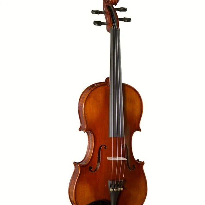 Hidersine Piacenza Violin Set W Wittner