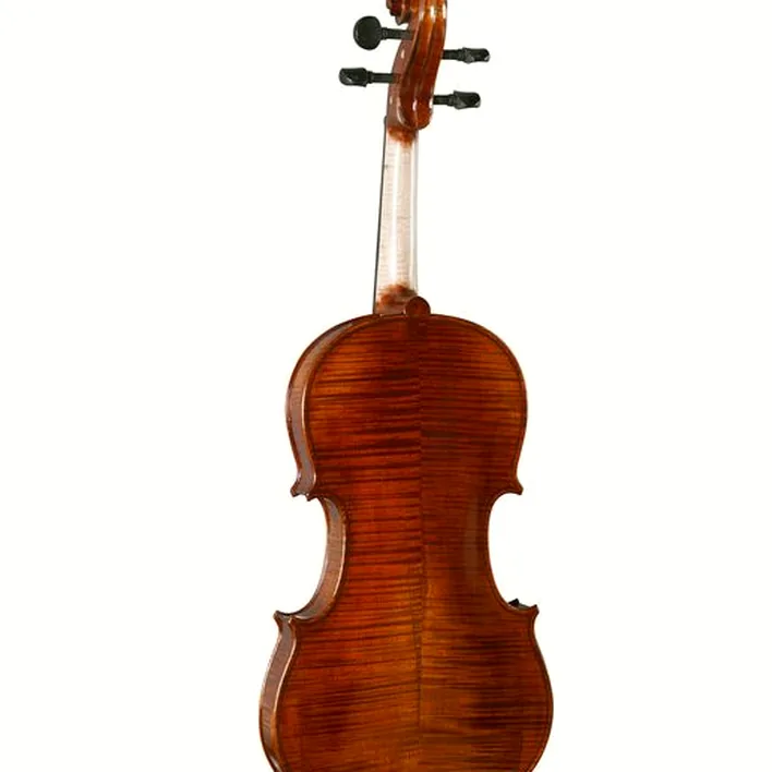 Hidersine Piacenza Violin Set W Wittner