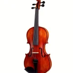 Hidersine Studenti Violin Set 4/4 Avis : Analyse rapide des éléments essentiels du montage