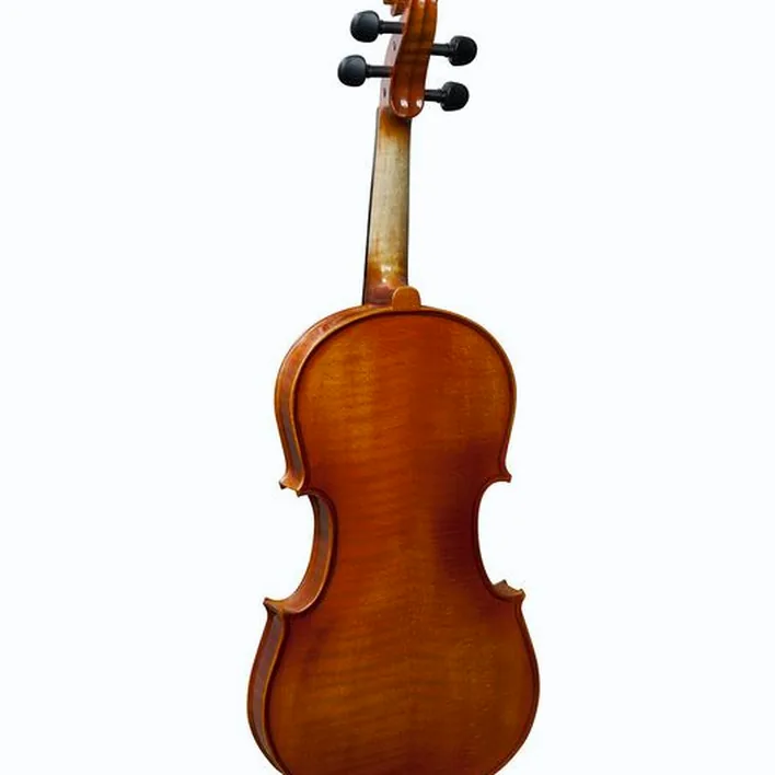 Hidersine Vivente Academy Violin Set 4 4