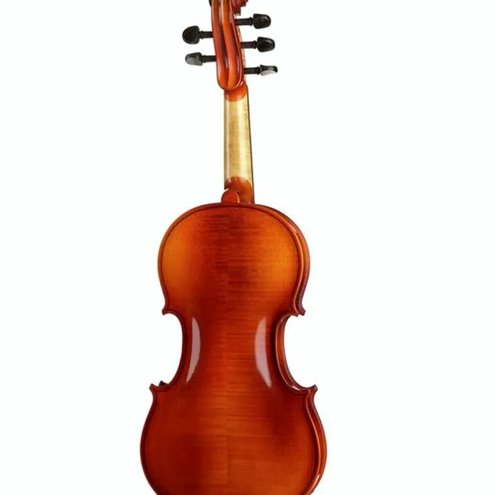 Hora 5String Violin 44