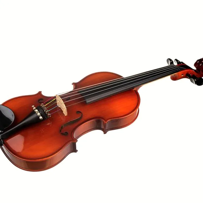 Hora 5String Violin 44