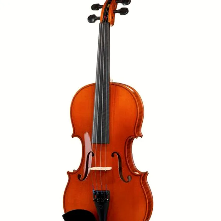 Karl Hoefner Allegretto 4 4 Violin Outfit
