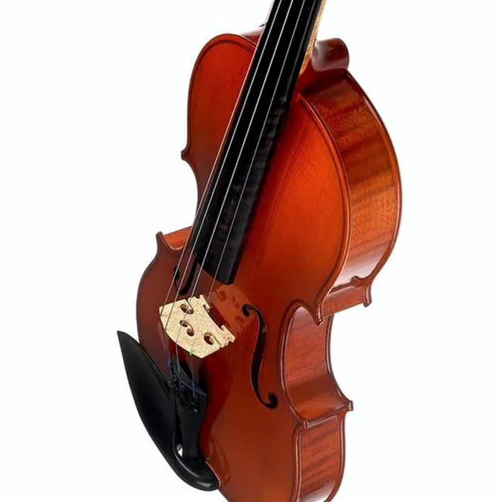 Karl Hoefner Allegretto 4 4 Violin Outfit