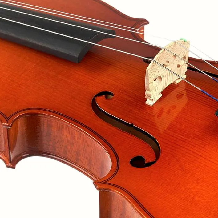 Karl Hoefner Allegretto 4 4 Violin Outfit