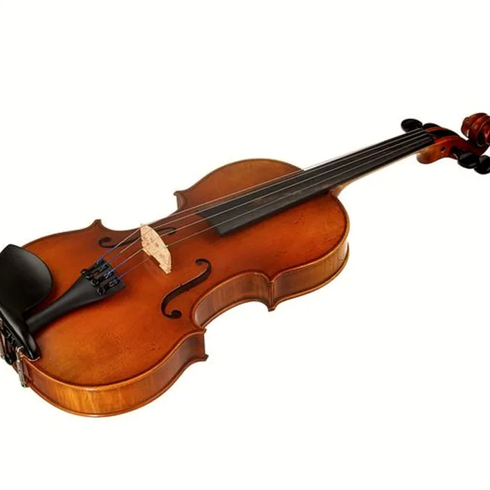 Karl Hoefner Allegro 4 4 Violin Outfit