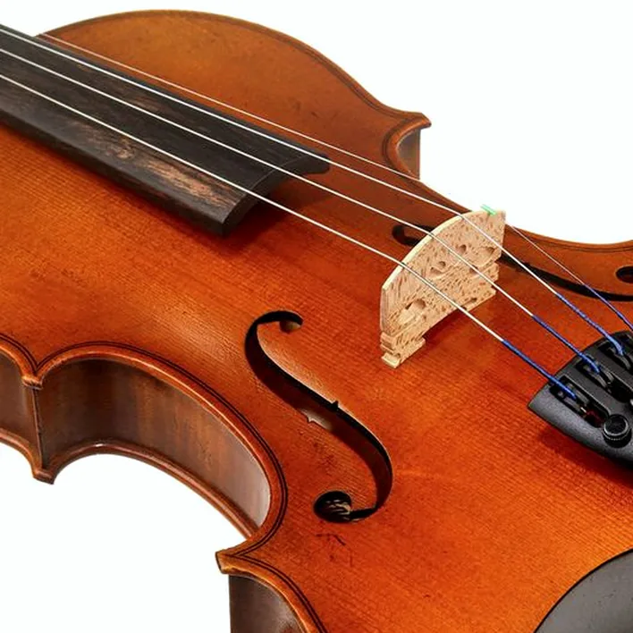 Karl Hoefner Allegro 4 4 Violin Outfit