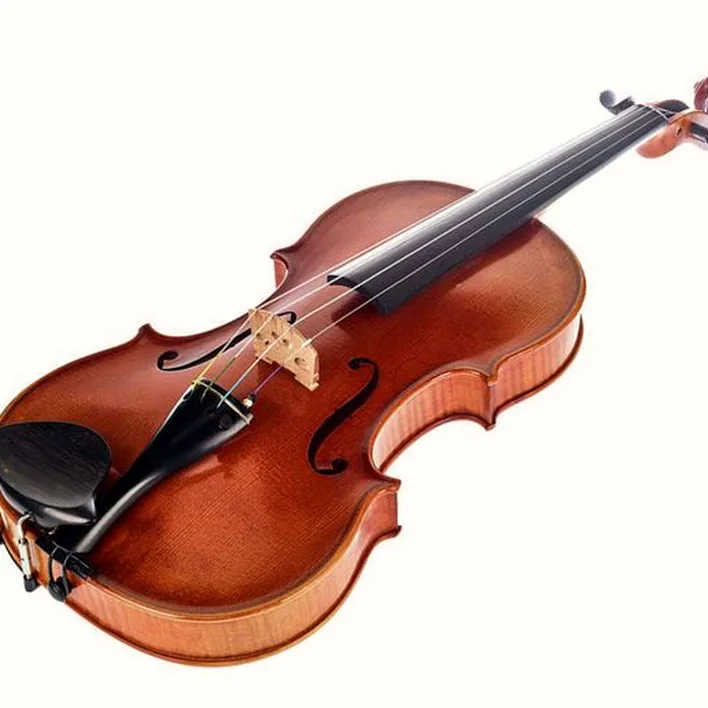 Karl Hoefner Guarneri 4 4 Violin Outfit