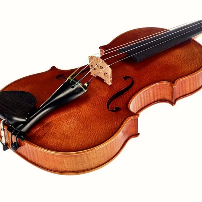 Karl Hoefner Guarneri 4 4 Violin Outfit