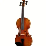 Karl Höfner H9-V Violin 4/4 Avis : Test de qualité sonore et richesse des graves
