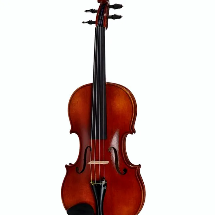 Karl Hoefner Stradivari 4 4 Violin Outfit
