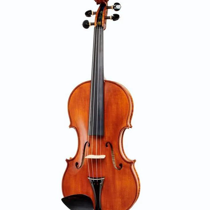 Luca Zerilli Violin Guarneri Cremona 4 4