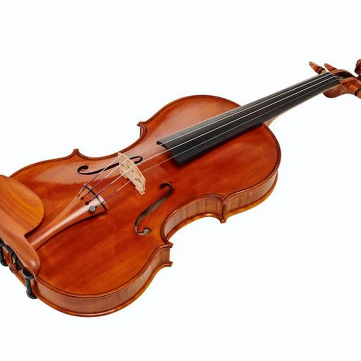 Luca Zerilli Violin Guarneri Parma 4 4