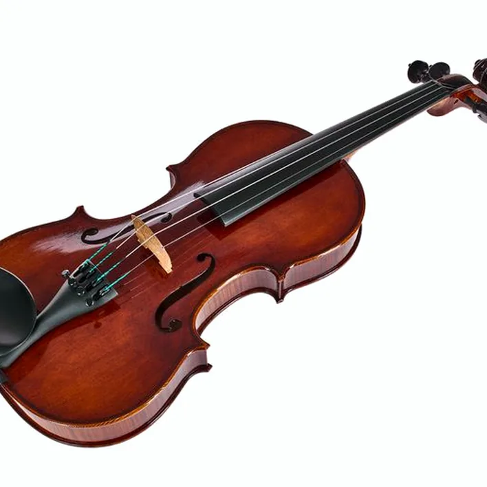 Rainer W Leonhardt No 100 2 Master Violin 4 4