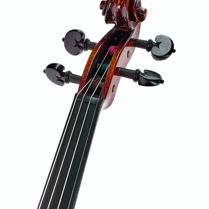 Rainer W Leonhardt No 100 2 Master Violin 4 4