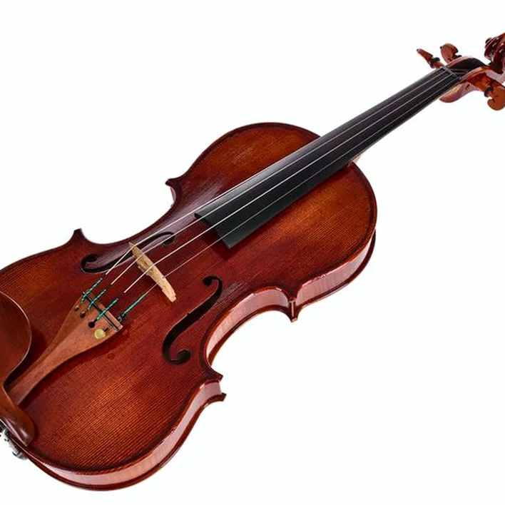 Rainer W Leonhardt No 110 1 Master Violin 4 4