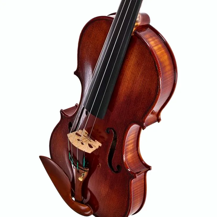 Rainer W Leonhardt No 110 1 Master Violin 4 4