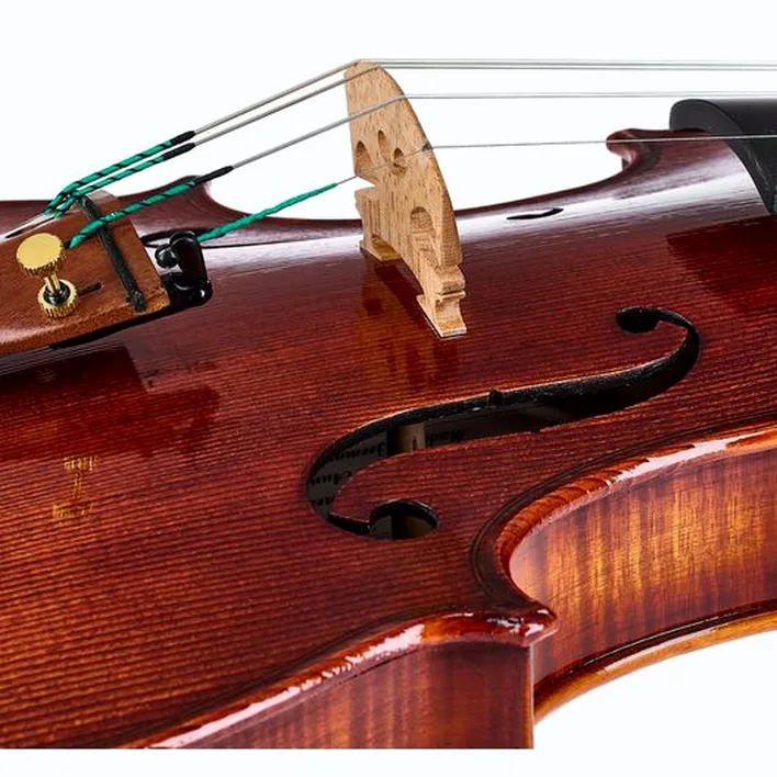Rainer W Leonhardt No 110 1 Master Violin 4 4