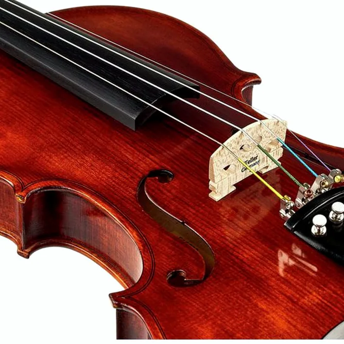Roth Junius Europe Antiqued Violin Set 4 4