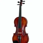 Roth & Junius Europe Orchestra Violin Gu/Eb Avis : À lire absolument avant de commander ce violon