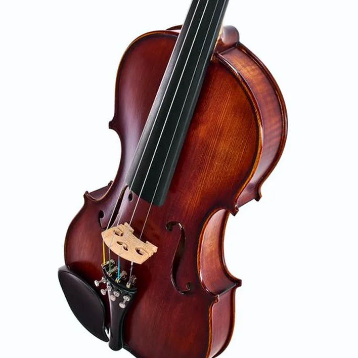 Roth Junius Europe Orchestra Violin Gu Eb