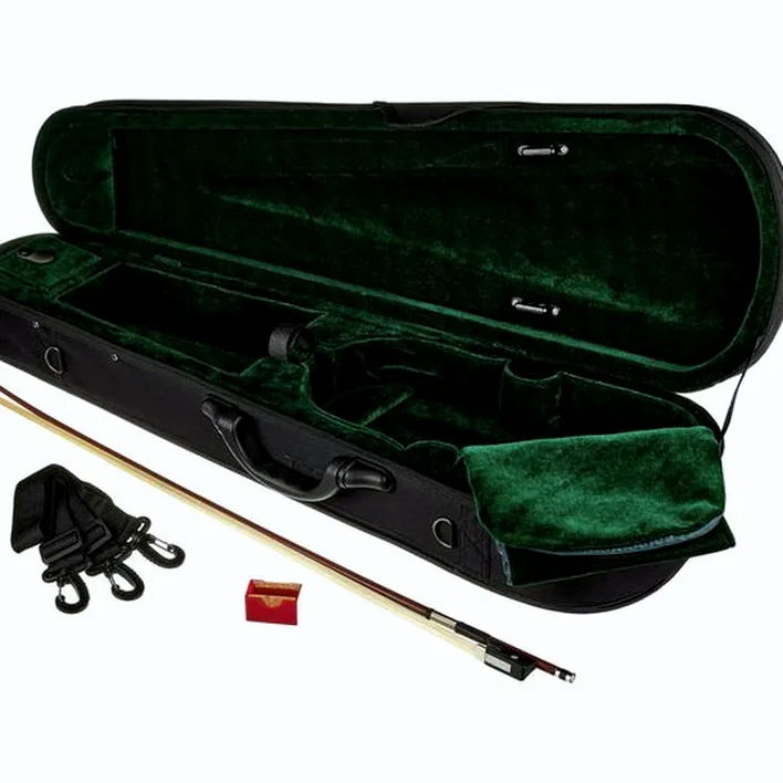 Roth Junius Europe Student Violin Set 4 4