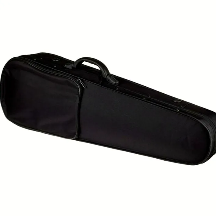 Roth Junius Europe Student Violin Set 4 4