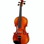 Roth & Junius Europe Student Violin Set 4/4 Avis : Un regard objectif sur l’assemblage et les finitions