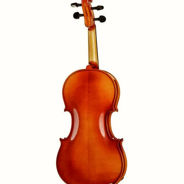 Roth Junius Europe Student Violin Set 4 4