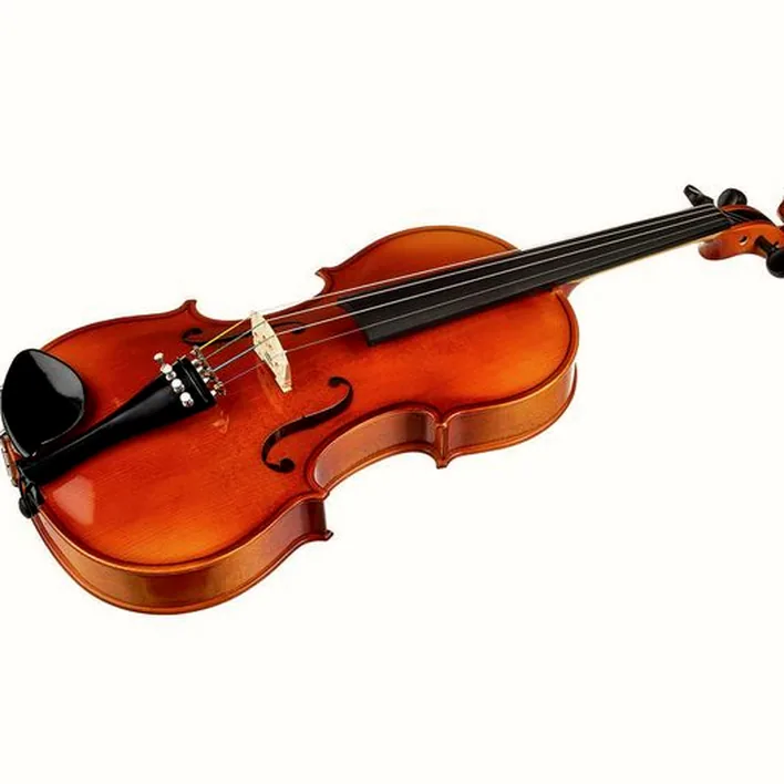 Roth Junius Europe Student Violin Set 4 4