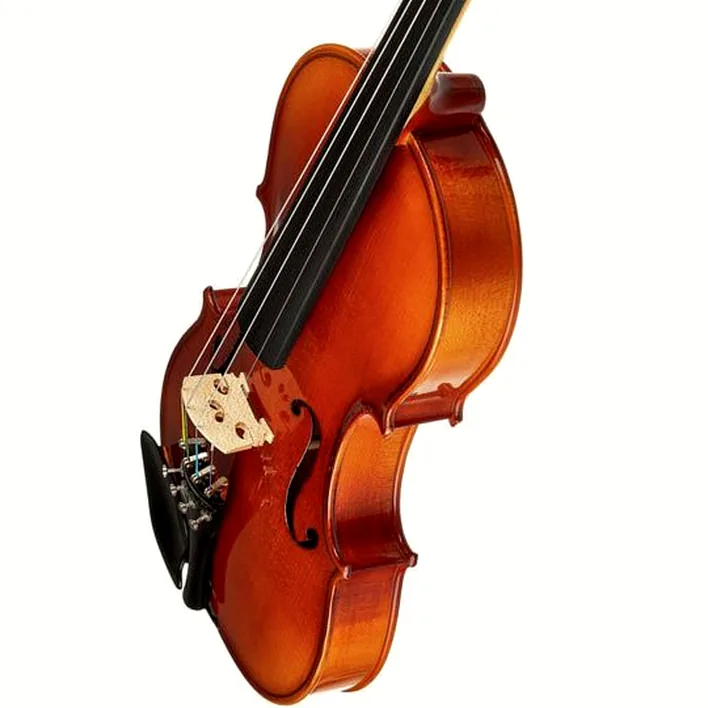 Roth Junius Europe Student Violin Set 4 4