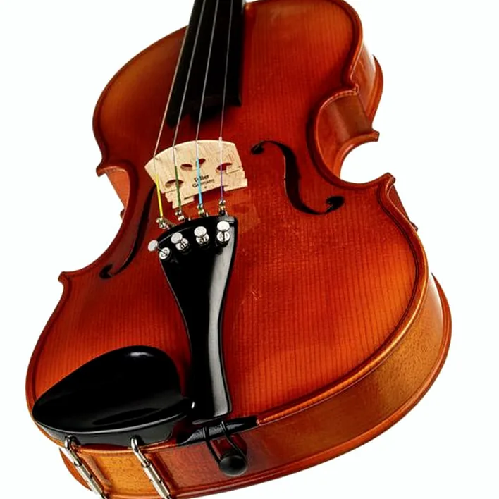Roth Junius Europe Student Violin Set 4 4