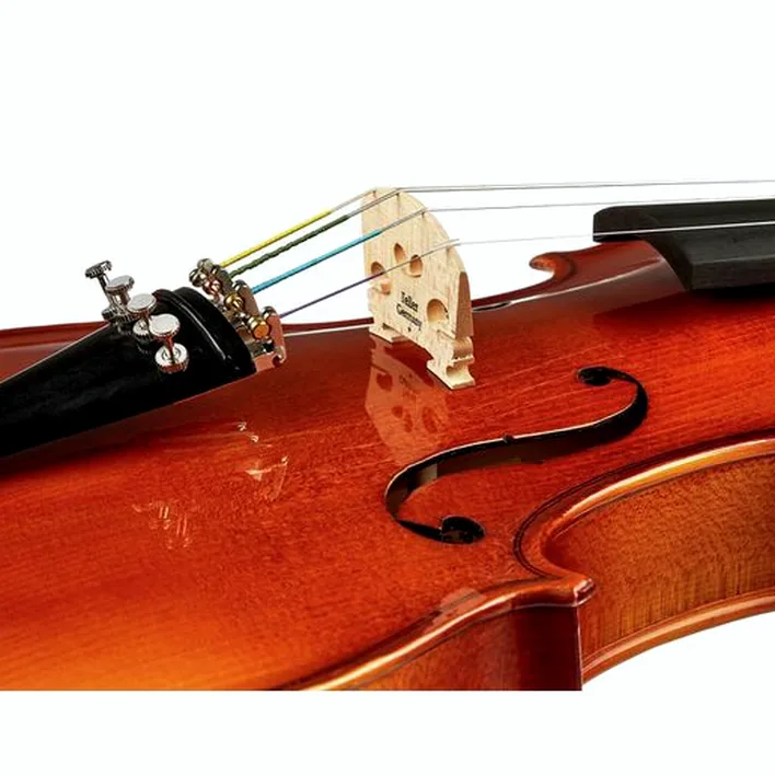 Roth Junius Europe Student Violin Set 4 4