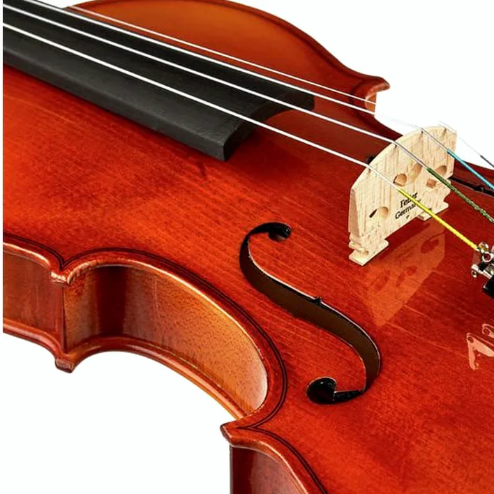 Roth Junius Europe Student Violin Set 4 4