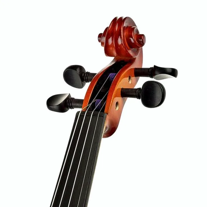 Roth Junius Europe Student Violin Set 4 4